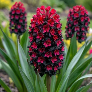 Гиацинт Джем Стоун купить по цене от 2099р. в интернет-магазине «Посадика» с доставкой почтой в в Тосное и по всей России – [изображение №1].