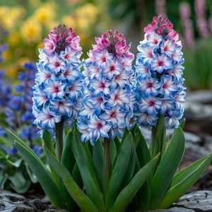 Гиацинт Пинк Мари купить по цене от 2099р. в интернет-магазине «Посадика» с доставкой почтой в в Тосное и по всей России – [изображение №1].