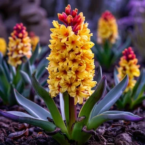 Гиацинт Миднайт Мистери купить по цене от 2099р. в интернет-магазине «Посадика» с доставкой почтой в в Тосное и по всей России – [изображение №1].