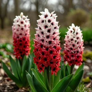 Гиацинт Скай Гарден купить по цене от 2099р. в интернет-магазине «Посадика» с доставкой почтой в в Тосное и по всей России – [изображение №1].